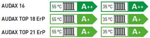 Audax