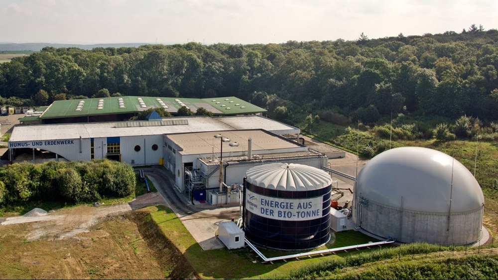 biomass