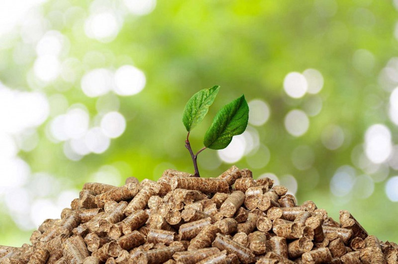 biomass