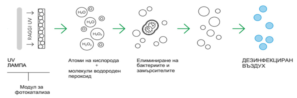 Vortice