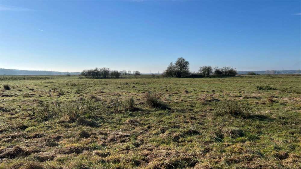  Greifswald Moor Center